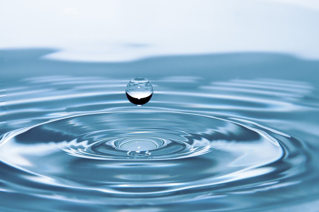Pioneering Water Conservation in the Alcohol Industry at Valkyrie’s Kiss Meadery